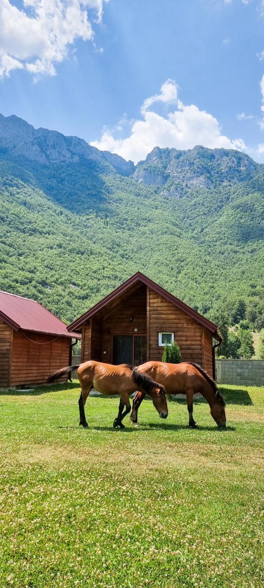 Hotel Ethno Katun Rosi Agrotourism à Gusinje Extérieur photo