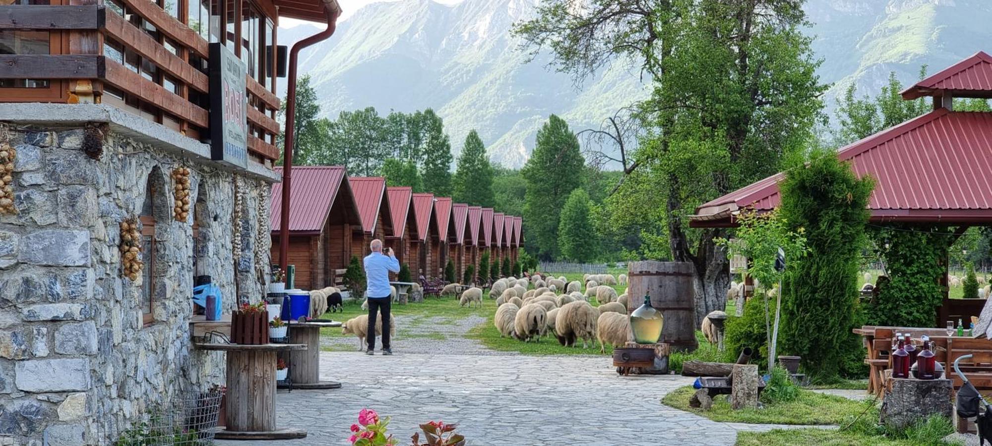 Hotel Ethno Katun Rosi Agrotourism à Gusinje Extérieur photo