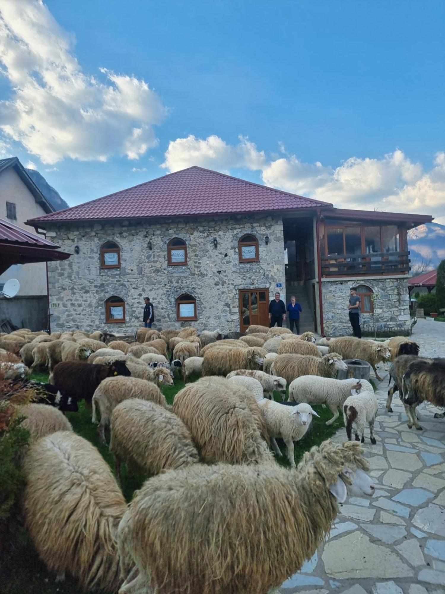 Hotel Ethno Katun Rosi Agrotourism à Gusinje Extérieur photo