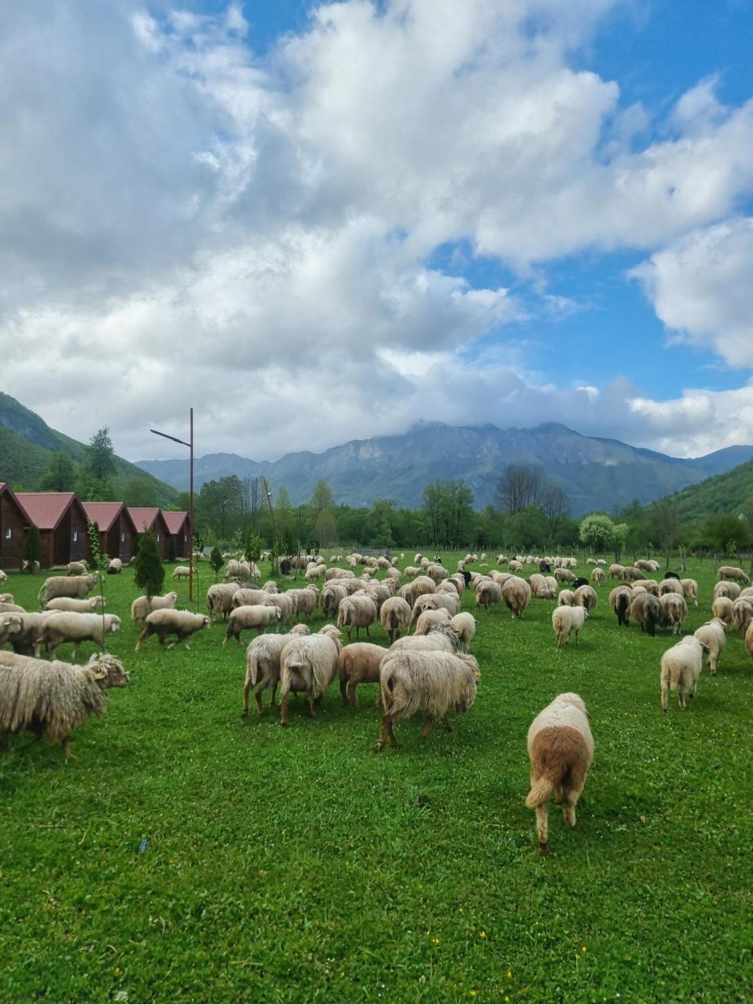 Hotel Ethno Katun Rosi Agrotourism à Gusinje Extérieur photo